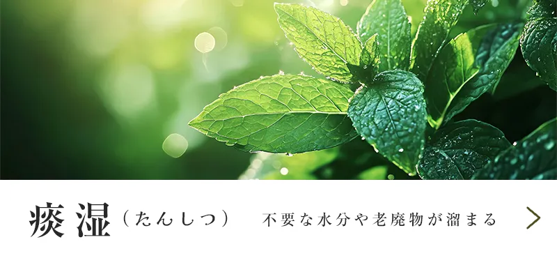痰湿（たんしつ）